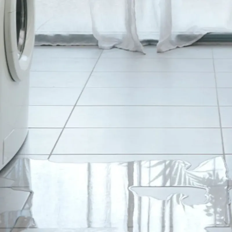 Appliance Leak Cleanup in Las Vegas, NV