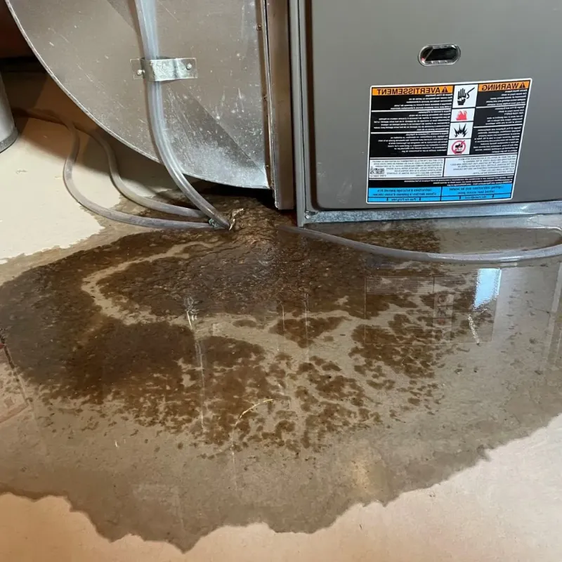 Pipe Burst and Leak Restoration in Las Vegas, NV